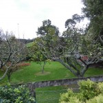 DSCN0444