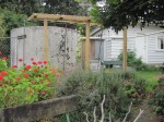 Completed Grape Arbor