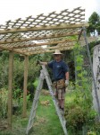 Grape Arbor Construction, Step 3, Placing Latticework