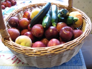 plums, zucchinis, and peaches harvested from home garden in New Zealand