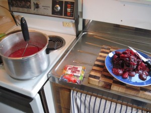 Stewing plums to make plum jam/jelly in New Zealand