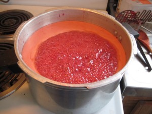 New Zealand jam making - boiling juice and sugar