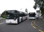 Gay Out Buses from Auckland