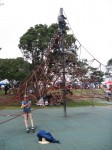 The Spider Pole at Auckland's Coyle Park