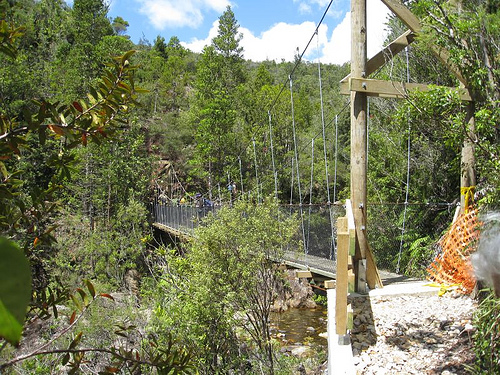 Parakawai Valley Walkway bridge, Coromandel