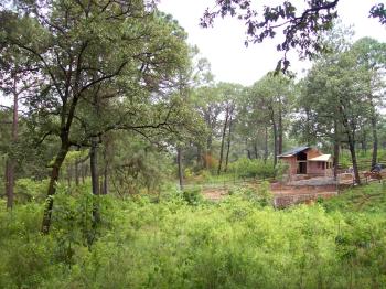 cabana at Mazamitla, Jalisco, Mexico
